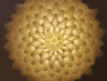 Adamlamp Flora Light 70, suspension