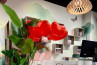 Adamlamp Dome Wide 52 Pendant Light Morawa Bookstores Austria geometric design ceiling light