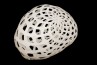 Adamlamp custom parametric geometry lamp form design structure apet plastic 