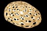 Adamlamp custom parametric geometry lamp form design structure apet plastic 