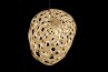 Adamlamp custom parametric geometry lamp form design structure apet plastic 
