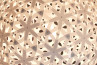 Adamlamp Lattice Light Ball 60, Ball Light, 