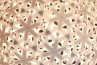 Adamlamp Lattice Light Ball 80 Ball light fixture