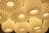 Adamlamp Ellipse Pendant Lights Geomery ceiling Maverick City Lodge 