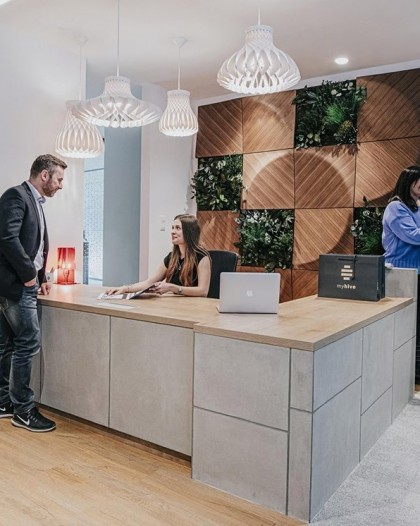 adamlamp dome pendant lights myhive offices haller gardens budapest