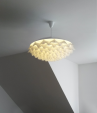 Adamlamp Flora Light 70, suspension