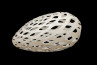 Adamlamp custom parametric geometry lamp form design structure apet plastic 