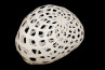 Adamlamp custom parametric geometry lamp form design structure apet plastic 