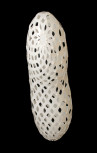 Adamlamp custom parametric geometry lamp form design structure apet plastic 
