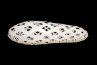 Adamlamp custom parametric geometry lamp form design structure apet plastic 