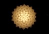 Adamlamp Flora Light 50