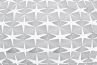 Adamlamp Hexa Light Hs4, suspension, star-like hexagonal structure