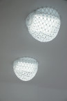 Adamlamp Custom Light Rododendron Art&Design Shop